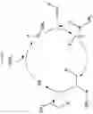 Fig. 03 - Chemically Fused Membrane for Analyte Sensing