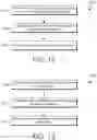 Fig. 13 - Method of Detecting Sepsis Using Primary and Secondary Hematology Parameters
