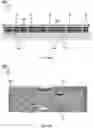Fig. 07 - MANUFACTURING OF SKIN-COMPATIBLE ELECTRODES