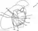 Fig. 01 - System and method for cardiac mapping