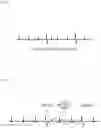 Fig. 04 - ELECTROCARDIOGRAM WAVEFORM ANALYSIS APPARATUS