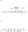 Fig. 05 - ELECTROCARDIOGRAM WAVEFORM ANALYSIS APPARATUS