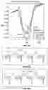 Fig. 11 - Method and system to detect P-waves in cardiac arrhythmic patterns