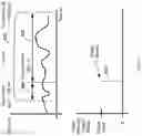 Fig. 06 - System and method for automatic evoked potential measurement