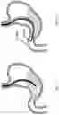 Fig. 06 - Devices and methods to measure gastric residual volume