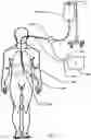 Fig. 15 - Devices and methods to measure gastric residual volume