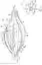 Fig. 10 - METHODS AND APPARATUS FOR RENAL NEUROMODULATION