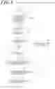 Fig. 09 - X-ray fluoroscopic imaging apparatus