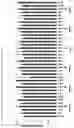 Fig. 07 - Microbial Diagnostic Sampling Swab