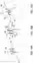 Fig. 15 - MEDICAL DEVICE FOR CLOSURE OF A VASCULAR ABNORMALITY