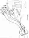 Fig. 28 - DEVICES FOR CARDIAC SURGERY AND METHODS THEREOF
