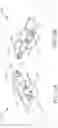 Fig. 31 - DEVICES FOR CARDIAC SURGERY AND METHODS THEREOF