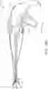 Fig. 40 - DEVICES FOR CARDIAC SURGERY AND METHODS THEREOF
