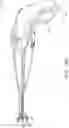 Fig. 44 - DEVICES FOR CARDIAC SURGERY AND METHODS THEREOF