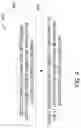Fig. 05 - SURGICAL INSTRUMENTS WITH ELECTRICAL CONNECTORS FOR POWER TRANSMISSION ACROSS STERILE BARRIER