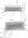 Fig. 03 - Biomimetic Scaffold for Peripheral Nerve Injuries