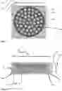 Fig. 04 - Biomimetic Scaffold for Peripheral Nerve Injuries
