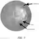 Fig. 05 - Biomimetic Scaffold for Peripheral Nerve Injuries