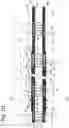 Fig. 05 - Steerable instrument comprising a hinge with a slotted structure