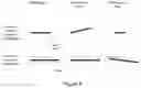 Fig. 04 - Needle guide for an angled endocavity transducer