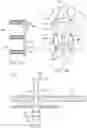 Fig. 27 - Methods and devices for intracorporeal bonding of implants with thermal energy