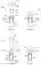 Fig. 48 - Methods and devices for intracorporeal bonding of implants with thermal energy