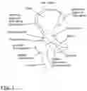 Fig. 02 - DEVICES, METHODS AND SYSTEMS FOR REMEDYING OR PREVENTING FRACTURES