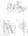 Fig. 09 - METHOD FOR TISSUE TREATMENT BY SURGICAL INSTRUMENT