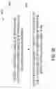 Fig. 35 - METHOD FOR TISSUE TREATMENT BY SURGICAL INSTRUMENT