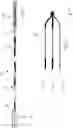 Fig. 22 - MEDICAL TOOL POSITIONING DEVICES, SYSTEMS, AND METHODS OF USE AND MANUFACTURE