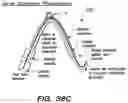 Fig. 44 - Systems and methods for positioning an elongate member inside a body
