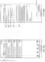 Fig. 26 - MEDICAL IMPLANT TRACKING SYSTEM