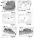 Fig. 04 - METHOD FOR GRAPHICALLY PRESENTING A PLURALITY OF SCANS