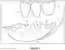 Fig. 02 - PARTIAL DENTURES AND METHODS OF MAKING THE SAME