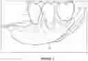 Fig. 03 - PARTIAL DENTURES AND METHODS OF MAKING THE SAME