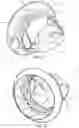 Fig. 07 - HANDS-FREE DENTAL SUCTION AND RETRACTION DEVICE