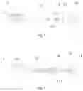 Fig. 03 - Brush head assembly and electric toothbrush