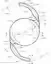 Fig. 01 - INTRAOCULAR LENS PLATFORM HAVING IMPROVED HAPTIC FORCE DISTRIBUTION