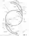 Fig. 02 - INTRAOCULAR LENS PLATFORM HAVING IMPROVED HAPTIC FORCE DISTRIBUTION