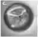Fig. 01 - AN ENGINEERED VALVE AND METHOD OF MAKING