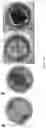 Fig. 06 - AN ENGINEERED VALVE AND METHOD OF MAKING