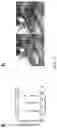 Fig. 08 - AN ENGINEERED VALVE AND METHOD OF MAKING