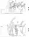 Fig. 26 - Artificial spinal prosthesis and method