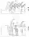 Fig. 35 - Artificial spinal prosthesis and method