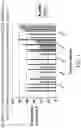 Fig. 02 - Liquid Aloe and Polyacrylamide Cold Pack
