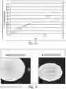 Fig. 10 - BIOERODIBLE OCULAR DRUG DELIVERY INSERT AND THERAPEUTIC METHOD