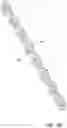 Fig. 22 - Intraocular implants and related kits and methods