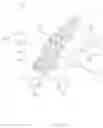 Fig. 07 - Driving wheel and mobility vehicle including same