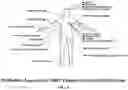 Fig. 05 - Wearable decentralized apparatus for optimal remote ischemic preconditioning
