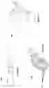 Fig. 03 - Percussion massager having variable and selectable stroke length